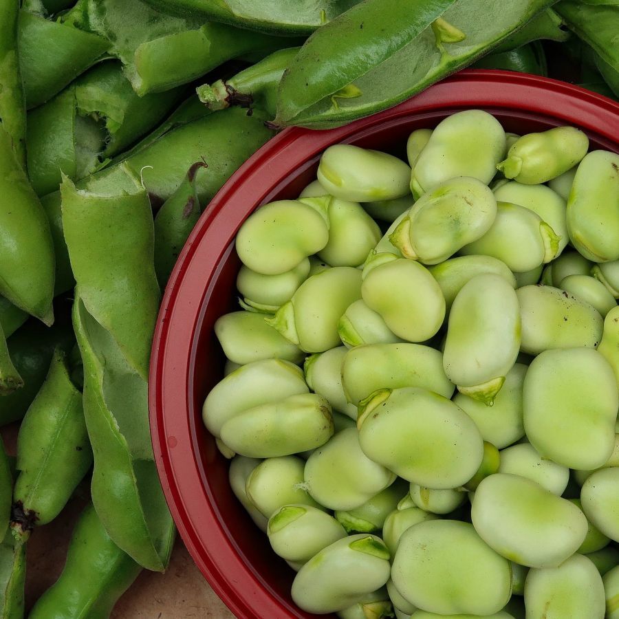 Recipe: Spicy broad beans with onions and dill