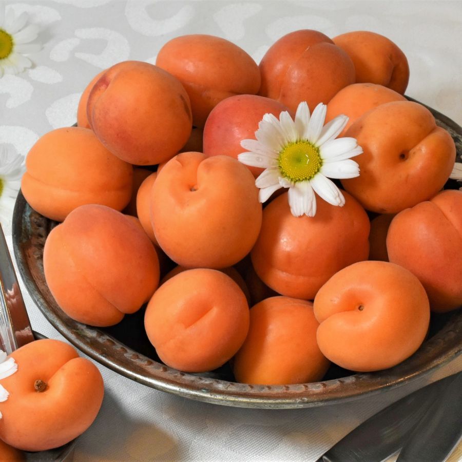 Recette: Jaglanka aux abricots